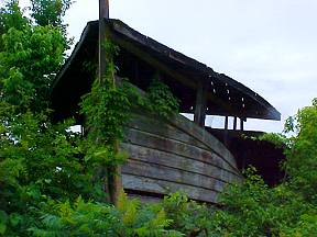 The Blue Whale Ark
