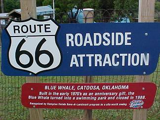 Blue Whale Attraction